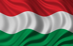 Macaristan Vizesi Bayrak