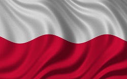 Polonya Vizesi Bayrak