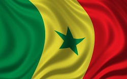 Senegal Vizesi Bayrak
